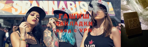 хмурый Алексин