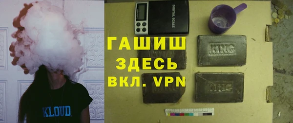 хмурый Алексин