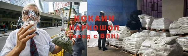 прущие грибы Абаза