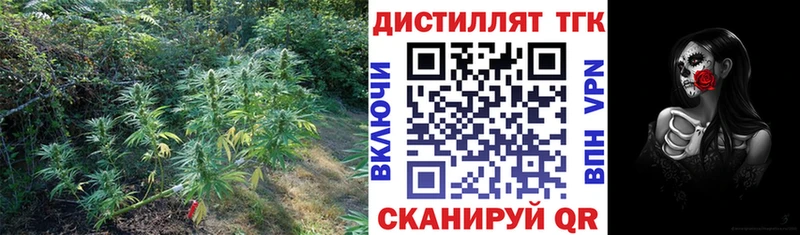 Дистиллят ТГК концентрат  Тогучин 
